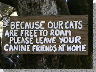 Please leave your canine friends at home