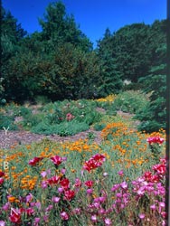 Picture of Entrance to the Nursery