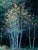 Populus tremuloides  - Quaking Aspen