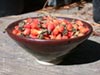 Rosa gymnocarpa -