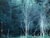 Populus tremuloides - Quaking Aspen