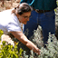 JoAnn and Matt Zlatunich have used native plants in the b...